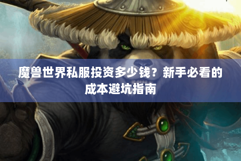 魔兽世界私服投资多少钱？新手必看的成本避坑指南