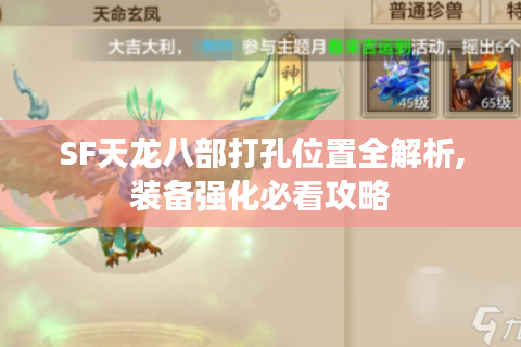 SF天龙八部打孔位置全解析,装备强化必看攻略