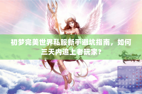 初梦完美世界私服新手避坑指南，如何三天内追上老玩家？
