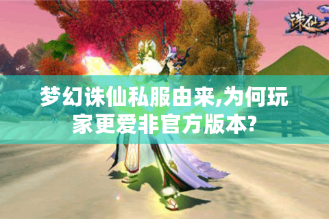 梦幻诛仙私服由来,为何玩家更爱非官方版本?