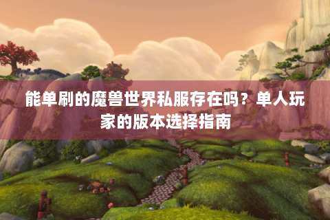 能单刷的魔兽世界私服存在吗？单人玩家的版本选择指南