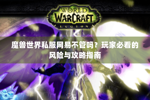 魔兽世界私服网易不管吗？玩家必看的风险与攻略指南