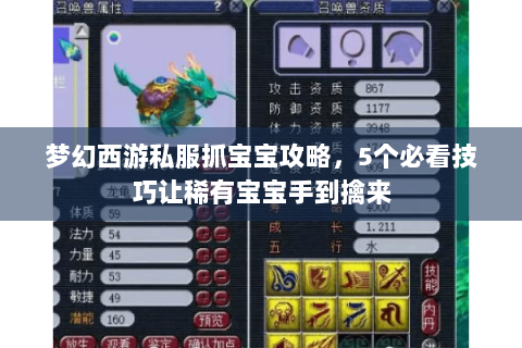 梦幻西游私服抓宝宝攻略，5个必看技巧让稀有宝宝手到擒来