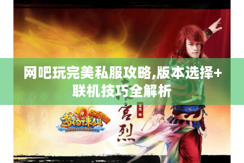 网吧玩完美私服攻略,版本选择+联机技巧全解析