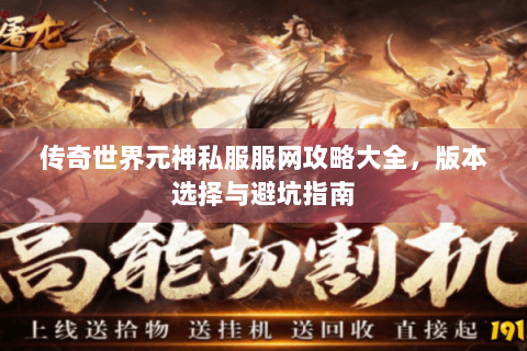 传奇世界元神私服服网攻略大全，版本选择与避坑指南