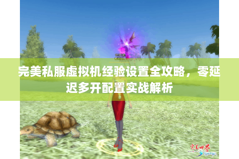 完美私服虚拟机经验设置全攻略，零延迟多开配置实战解析