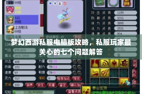 梦幻西游私服电脑版攻略，私服玩家最关心的七个问题解答