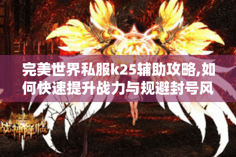 完美世界私服k25辅助攻略,如何快速提升战力与规避封号风险?