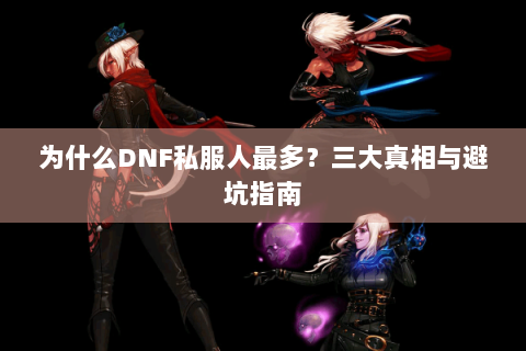 为什么DNF私服人最多？三大真相与避坑指南