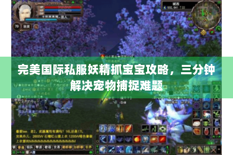 完美国际私服妖精抓宝宝攻略，三分钟解决宠物捕捉难题