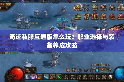 奇迹私服互通版怎么玩？职业选择与装备养成攻略