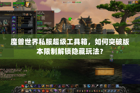魔兽世界私服超级工具箱，如何突破版本限制解锁隐藏玩法？