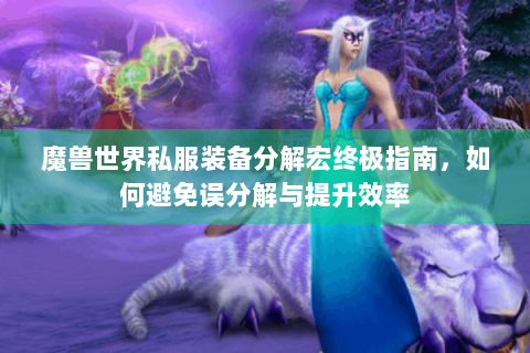 魔兽世界私服装备分解宏终极指南，如何避免误分解与提升效率