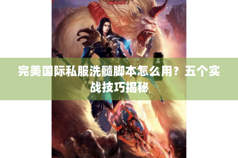 完美国际私服洗髓脚本怎么用？五个实战技巧揭秘