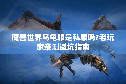 魔兽世界乌龟服是私服吗?老玩家亲测避坑指南