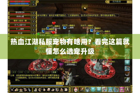 热血江湖私服宠物有啥用？看完这篇就懂怎么选宠升级