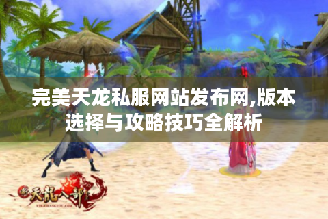 完美天龙私服网站发布网,版本选择与攻略技巧全解析