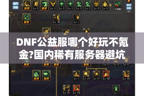 DNF公益服哪个好玩不氪金?国内稀有服务器避坑指南