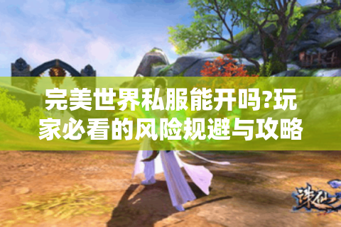 完美世界私服能开吗?玩家必看的风险规避与攻略指南