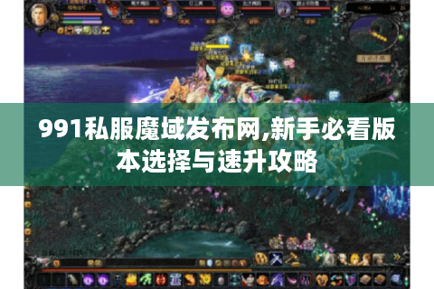 991私服魔域发布网,新手必看版本选择与速升攻略