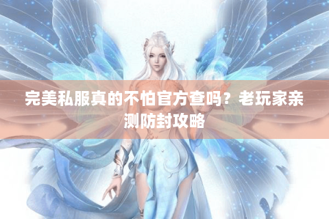 完美私服真的不怕官方查吗？老玩家亲测防封攻略