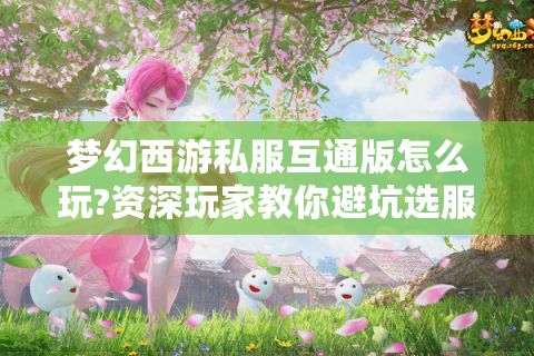 梦幻西游私服互通版怎么玩?资深玩家教你避坑选服技巧