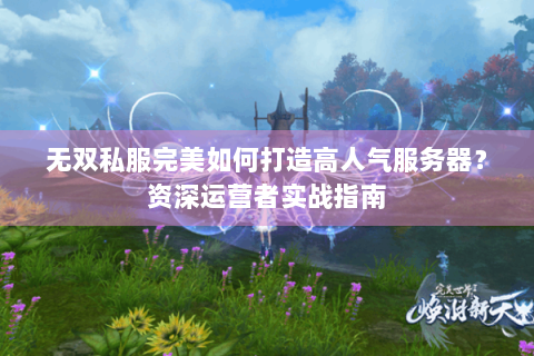 无双私服完美如何打造高人气服务器？资深运营者实战指南