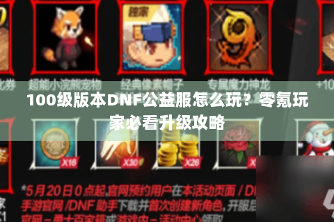 100级版本DNF公益服怎么玩？零氪玩家必看升级攻略