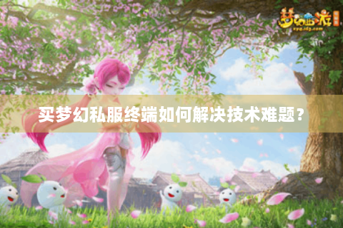买梦幻私服终端如何解决技术难题？