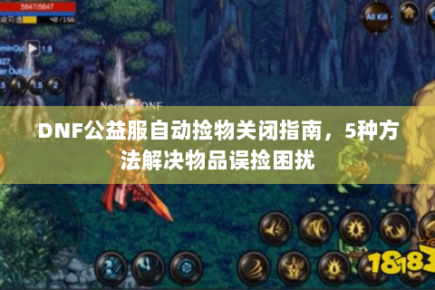 DNF公益服自动捡物关闭指南，5种方法解决物品误捡困扰