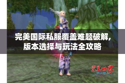 完美国际私服覆盖难题破解,版本选择与玩法全攻略