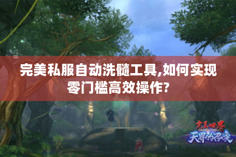 完美私服自动洗髓工具,如何实现零门槛高效操作?
