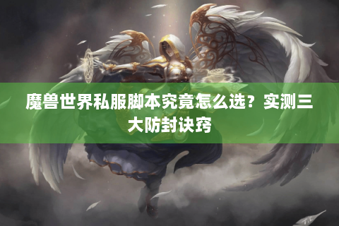 魔兽世界私服脚本究竟怎么选？实测三大防封诀窍
