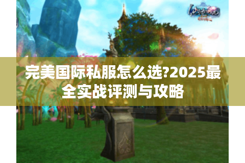 完美国际私服怎么选?2025最全实战评测与攻略