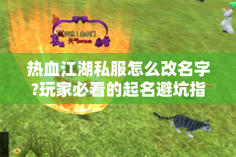 热血江湖私服怎么改名字?玩家必看的起名避坑指南