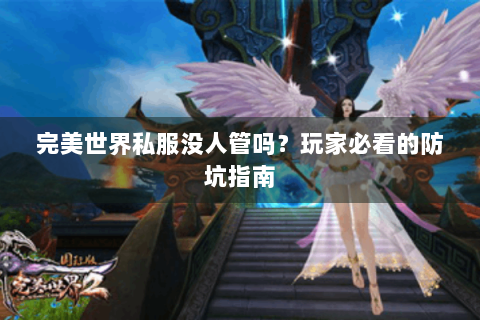 完美世界私服没人管吗？玩家必看的防坑指南