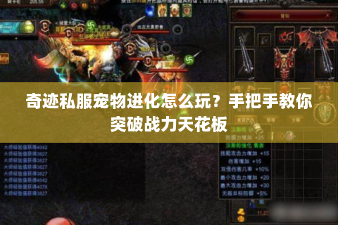 奇迹私服宠物进化怎么玩？手把手教你突破战力天花板