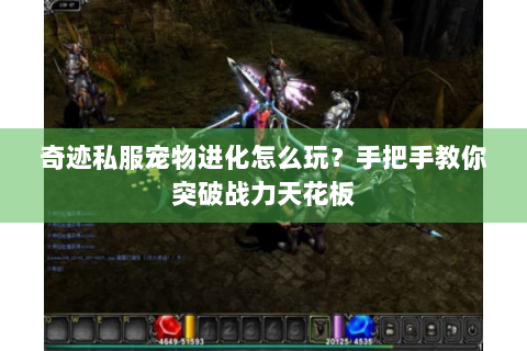 奇迹私服宠物进化怎么玩？手把手教你突破战力天花板