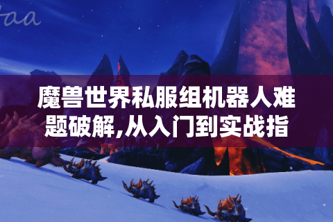 魔兽世界私服组机器人难题破解,从入门到实战指南