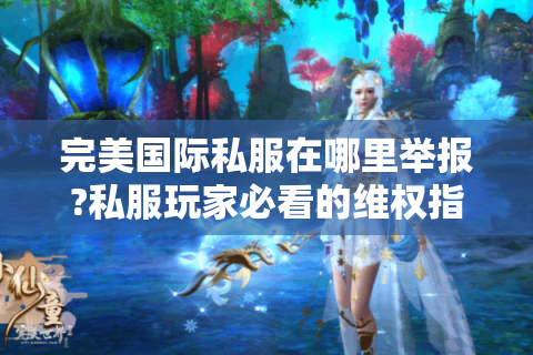 完美国际私服在哪里举报?私服玩家必看的维权指南