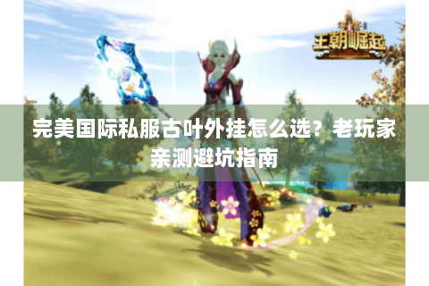 完美国际私服古叶外挂怎么选？老玩家亲测避坑指南