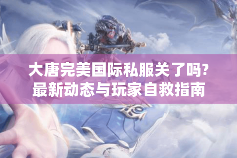大唐完美国际私服关了吗?最新动态与玩家自救指南
