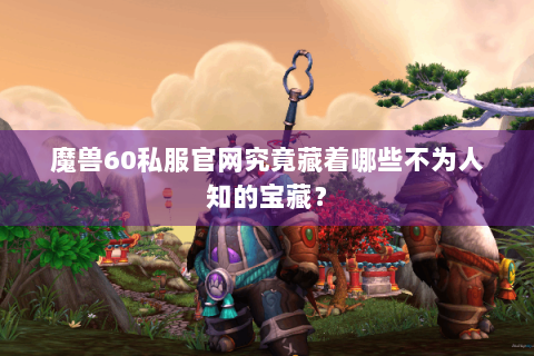 魔兽60私服官网究竟藏着哪些不为人知的宝藏？