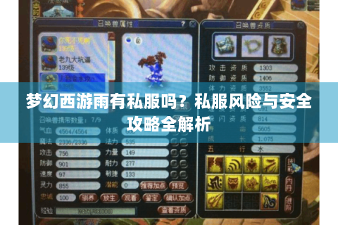 梦幻西游雨有私服吗？私服风险与安全攻略全解析