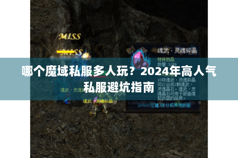 哪个魔域私服多人玩？2024年高人气私服避坑指南