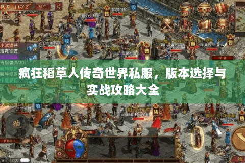 疯狂稻草人传奇世界私服，版本选择与实战攻略大全