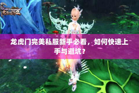 龙虎门完美私服新手必看，如何快速上手与避坑？