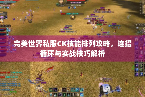 完美世界私服CK技能排列攻略，连招循环与实战技巧解析