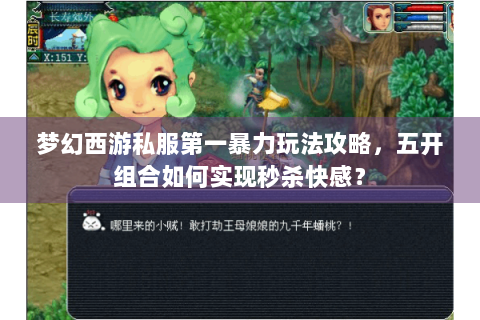 梦幻西游私服第一暴力玩法攻略，五开组合如何实现秒杀快感？