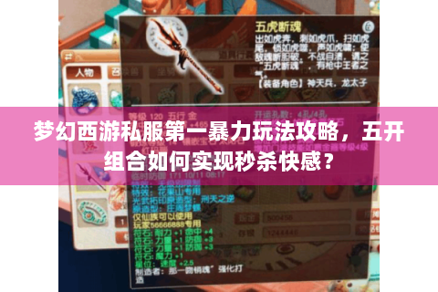 梦幻西游私服第一暴力玩法攻略，五开组合如何实现秒杀快感？